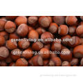 fresh raw chestnut nuts manufacturer in china